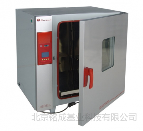 电热鼓风干燥箱（升级新型，液晶屏，250度）BGZ-140